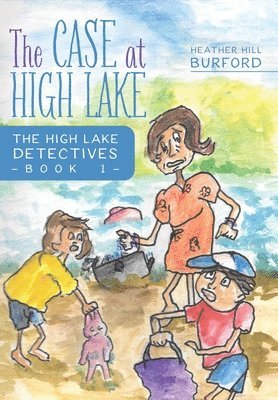 bokomslag Case at High Lake