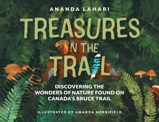 Treasures on the Trail 1