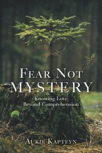 bokomslag Fear Not Mystery
