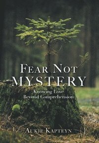 bokomslag Fear Not Mystery