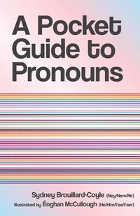 bokomslag A Pocket Guide to Pronouns