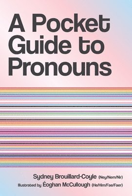 bokomslag Pocket Guide to Pronouns