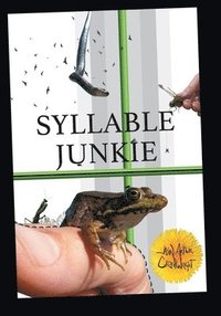 bokomslag Syllable Junkie