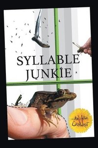 bokomslag Syllable Junkie