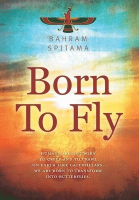 bokomslag Born To Fly