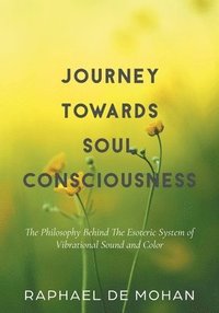 bokomslag Journey Towards Soul Consciousness