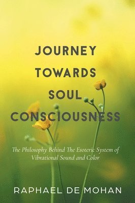 bokomslag Journey Towards Soul Consciousness