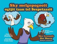 bokomslag Sky Grounds Her Worry - Miigmag Translation