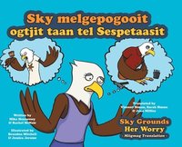 bokomslag Sky Grounds Her Worry - Miigmag Translation