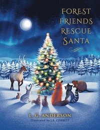bokomslag Forest Friends Rescue Santa