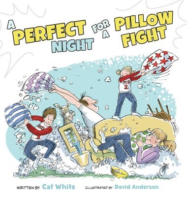 A Perfect Night for a Pillow Fight 1