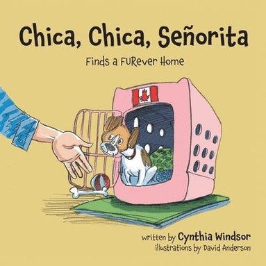 bokomslag Chica, Chica, Señorita