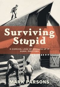 bokomslag Surviving Stupid