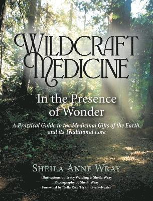 bokomslag Wildcraft Medicine