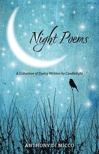 bokomslag Night Poems