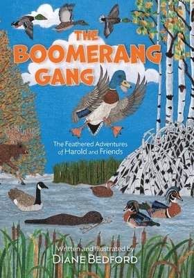 bokomslag Boomerang Gang