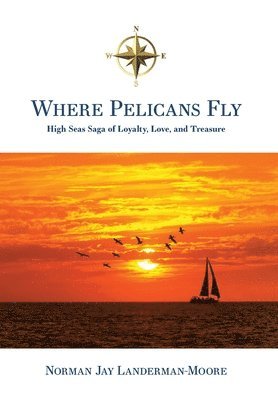 bokomslag Where Pelicans Fly