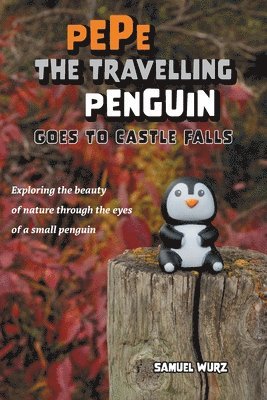 Pepe the Travelling Penguin Goes to Castle Falls