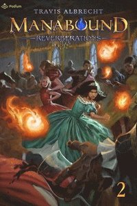 bokomslag Reverberations