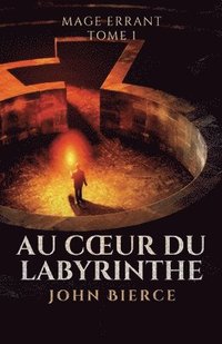 bokomslag Au Coeur du Labyrinthe