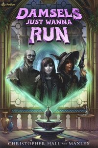 bokomslag Damsels Just Wanna Run: An Isekai Litrpg