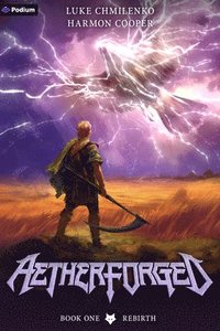 bokomslag Rebirth: A Litrpg Progression Fantasy
