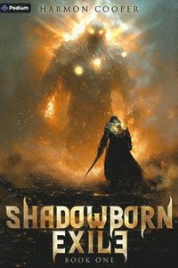 bokomslag Shadowborn Exile: A Litrpg Progression Fantasy