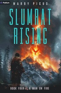 bokomslag A Man on Fire: A Cyberpunk Litrpg