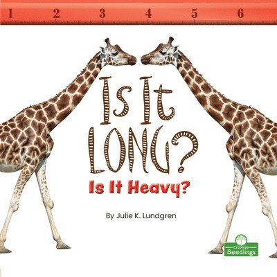 Is It Long? Is It Heavy? 1