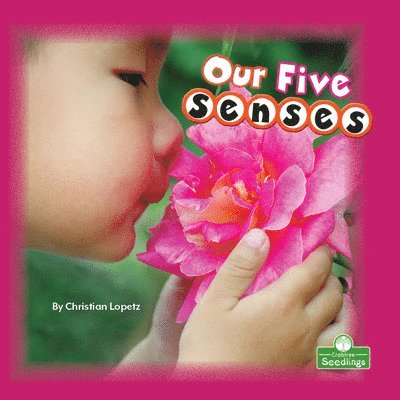 Our Five Senses 1