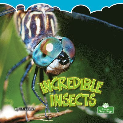 Kelli Hicks - Incredible Insects, Häftad