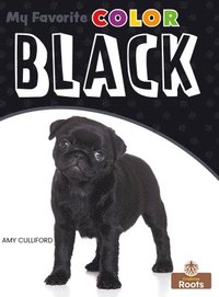 bokomslag Black