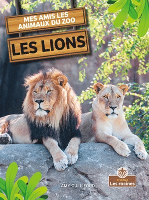 Amy Culliford - Les Lions (Lions), Häftad