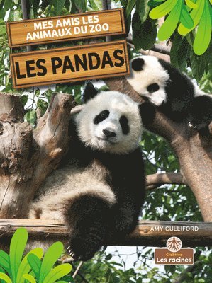 Amy Culliford - Les Pandas (Pandas), Häftad