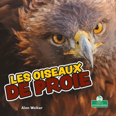 Alan Walker - Les Oiseaux de Proie (Birds of Prey), Häftad