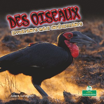 Julie K. Lundgren - Des Oiseaux Effrayants Mais Intéressants (Creepy But Cool Birds), Häftad