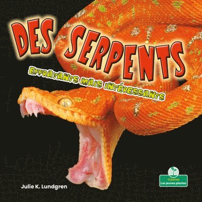 Julie K. Lundgren - Des Serpents Effrayants Mais Intéressants (Creepy But Cool Snakes), Häftad