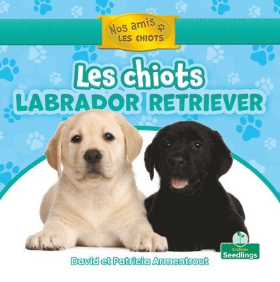 David Armentrout, Patricia Armentrout - Les Chiots Labrador Retriever (Labrador Retriever Puppies), Häftad