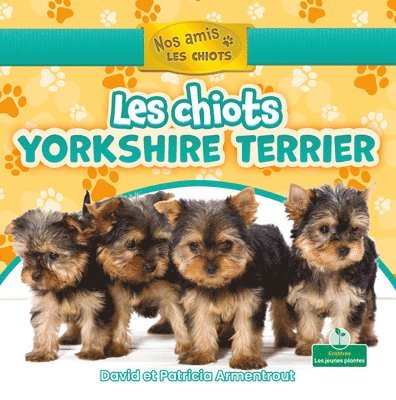 David Armentrout, Patricia Armentrout - Les Chiots Yorkshire Terrier (Yorkshire Terrier Puppies), Häftad