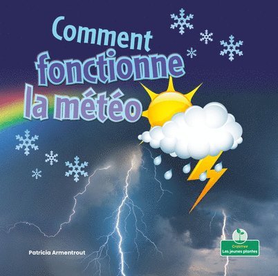 Patricia Armentrout - Comment Fonctionne La Météo (How Weather Works), Häftad