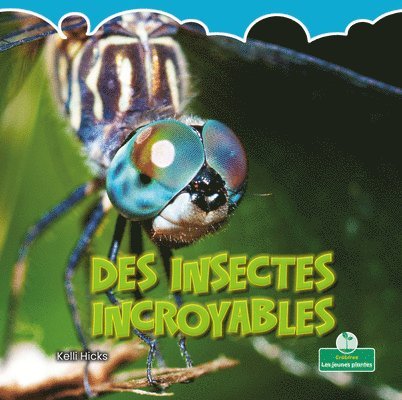 Kelli Hicks - Des Insectes Incroyables (Incredible Insects), Häftad