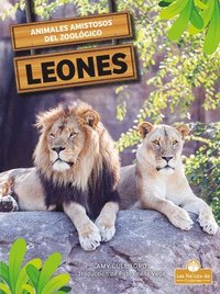 bokomslag Leones (Lions)
