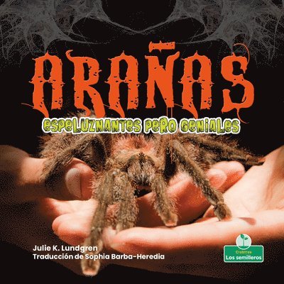 Arañas Espeluznantes Pero Geniales (Creepy But Cool Spiders)