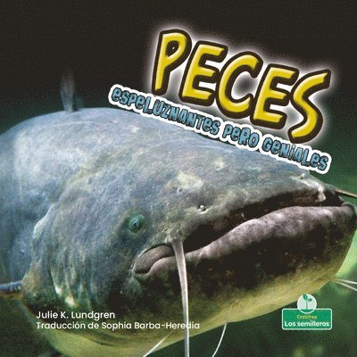 Julie K. Lundgren - Peces Espeluznantes Pero Geniales (Creepy But Cool Fish), Häftad
