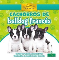 bokomslag Cachorros de Bulldog Francés (French Bulldog Puppies)