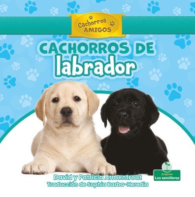 David Armentrout, Patricia Armentrout - Cachorros de Labrador (Labrador Retriever Puppies), Inbunden