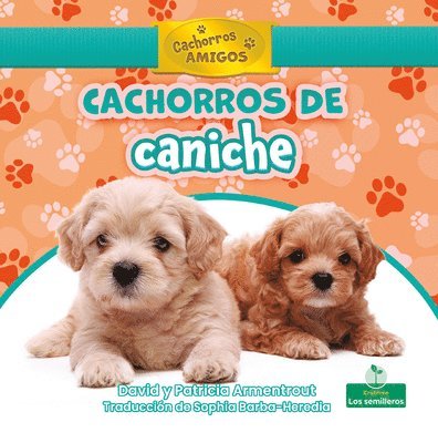 David Armentrout, Patricia Armentrout - Cachorros de Caniche (Poodle Puppies), Inbunden