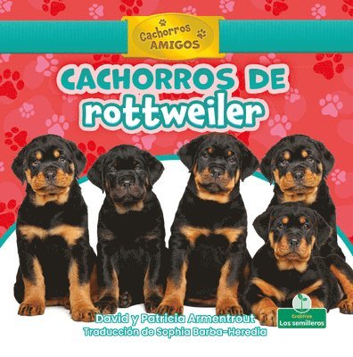 David Armentrout, Patricia Armentrout - Cachorros de Rottweiler (Rottweiler Puppies), Inbunden