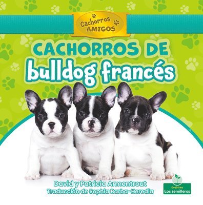 David Armentrout, Patricia Armentrout - Cachorros de Bulldog Francés (French Bulldog Puppies), Häftad