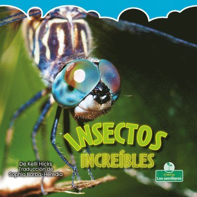 Kelli Hicks - Insectos Increíbles (Incredible Insects), Häftad